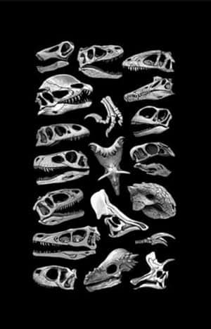 Flowervale Street poster