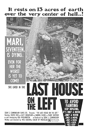 The Last House on the Left poster