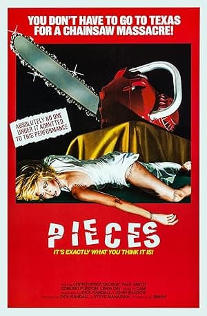 Pieces poster